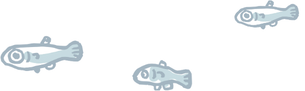 メダカのイラスト
